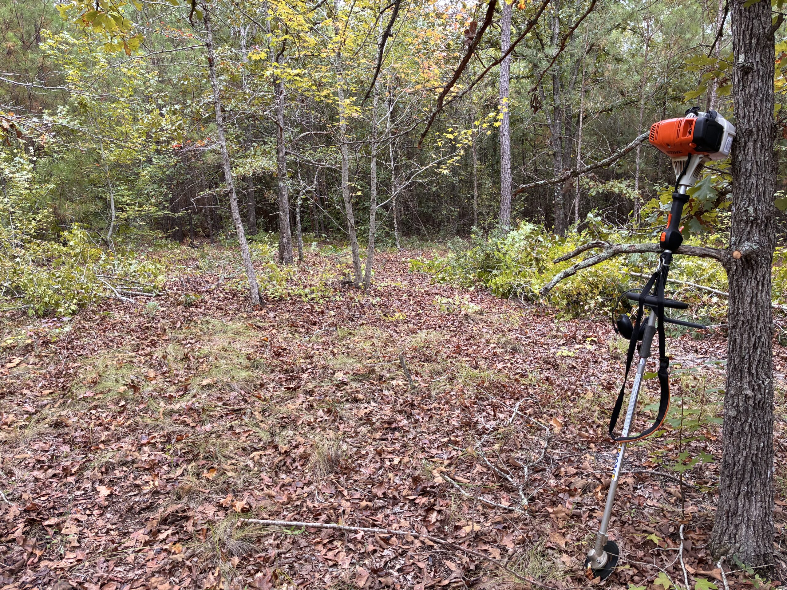 Clearing Woods: Machines vs. Hand Tools – My Experience