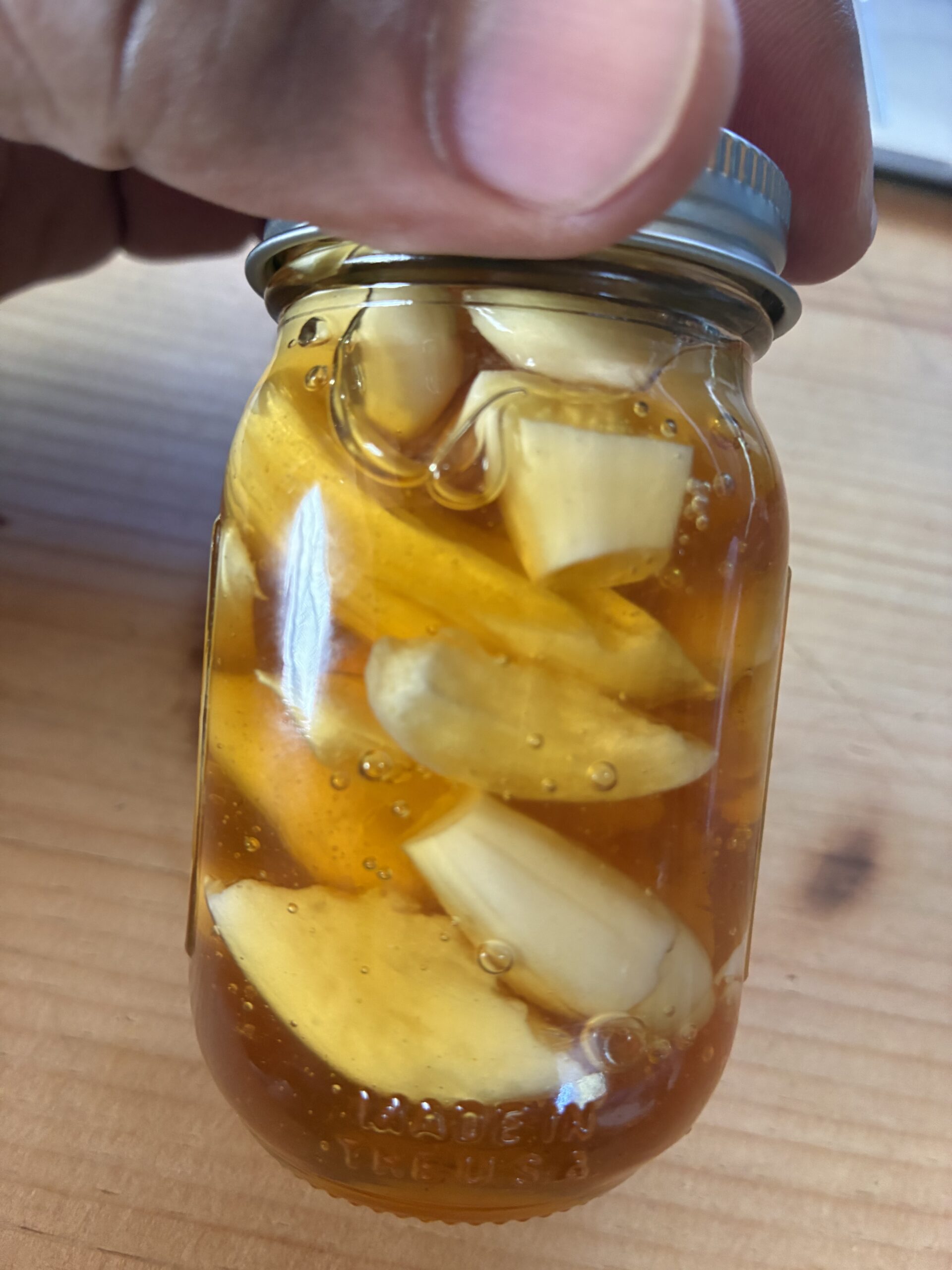 garlic honey ferment