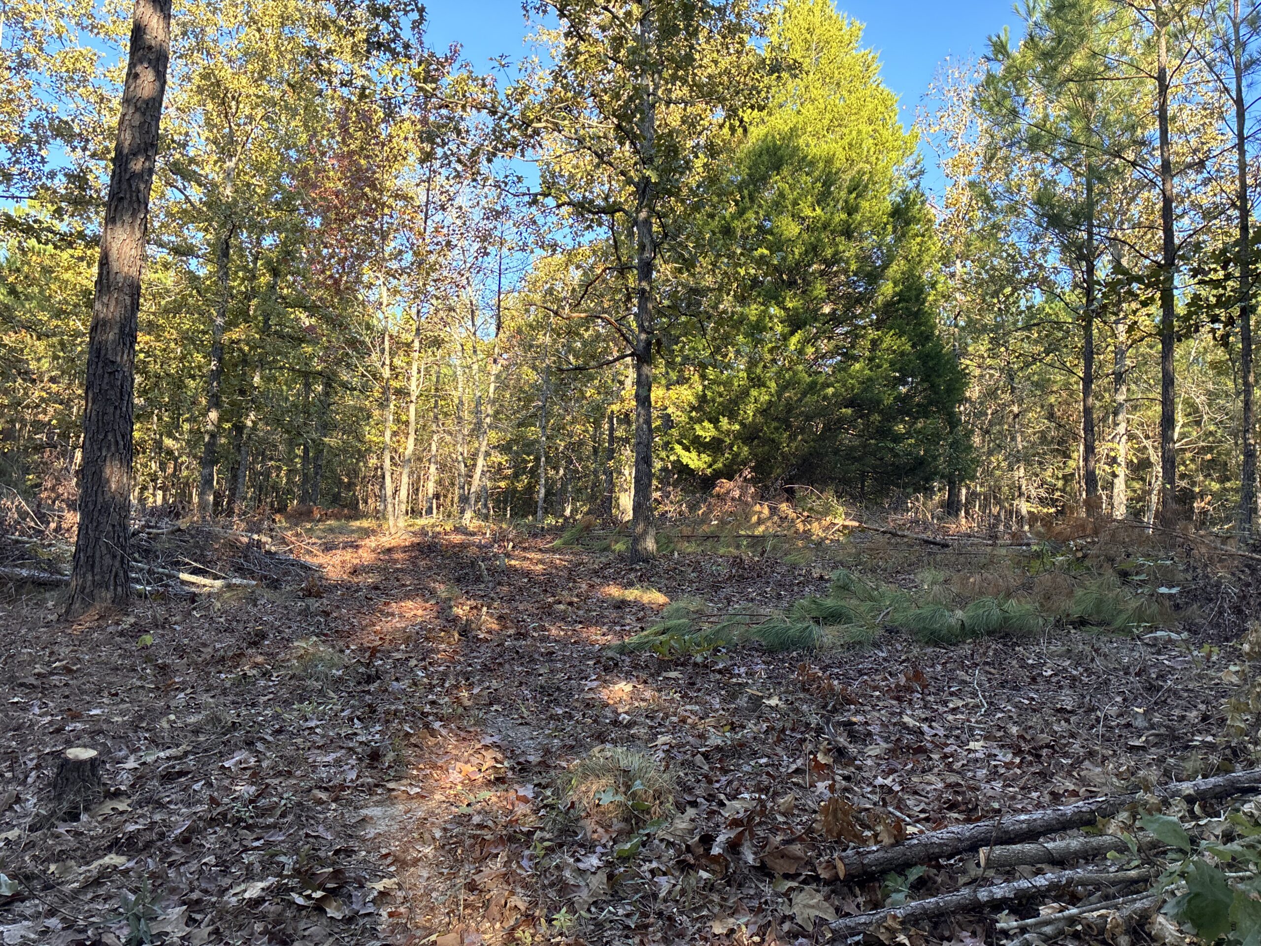 land work