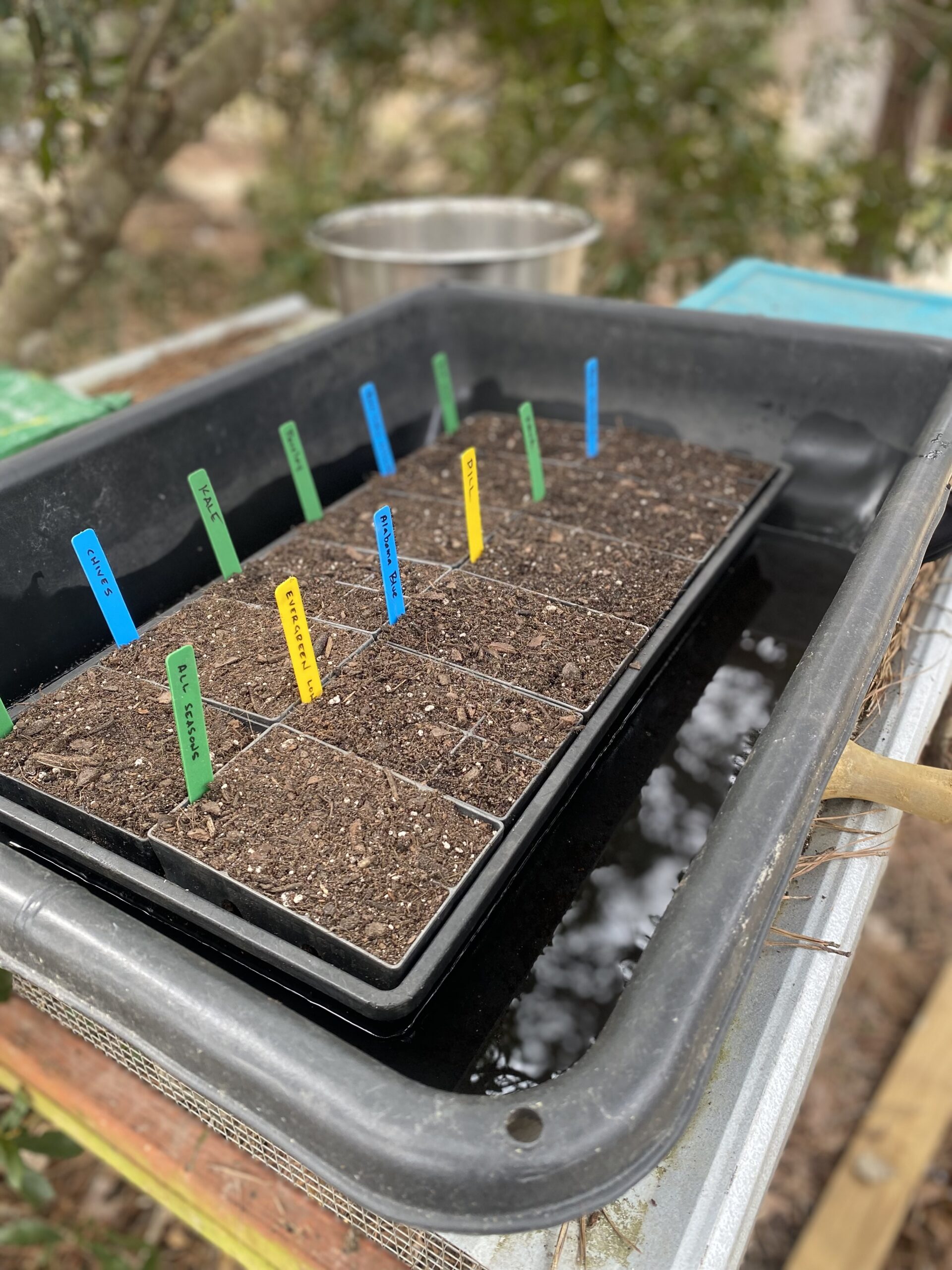 seed starting
